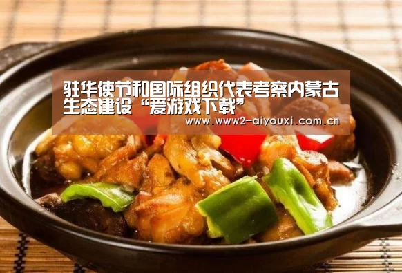 驻华使节和国际组织代表考察内蒙古生态建设“爱游戏下载”(图3) 爱游戏下载